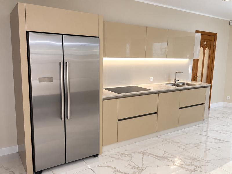 Kitchen in Geneva — 2